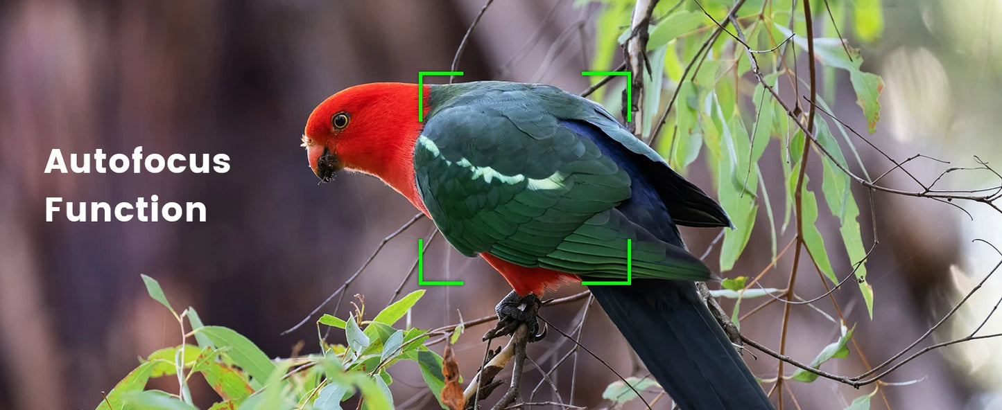 Gavonde Compact 4K Camera With WiFi Webcam 64MP Camcorder