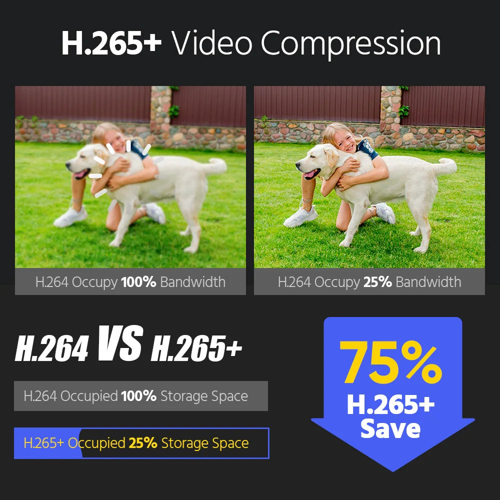 Annke Dual Light PoE Security System 16Channel NVR 12MP